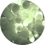 Imagem ilustrativa de uma bactéria